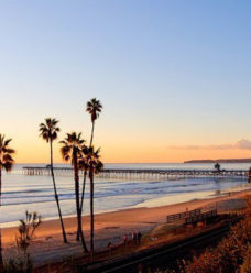 beach-california-ocean-palmtrees-Favim.com-3189262
